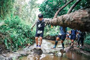 BIB: 
                            <button type="button" onclick="openModal(25375361)" class="btn btn-primary btn-sm float-right btn-popup" data-toggle="modal" data-target=".modal-high-quality">
                        <i class="fas fa-shopping-cart"></i> Add to Cart
                    </button>
                                            <button type="button" onclick="isThisMe(25375361, true)" class="btn btn-success btn-sm float-right btn-popup btn-isme hidden" data-toggle="tooltip" data-placement="bottom" title="นี่คือรูปของคุณใช่ไหม คลิกที่นี่เพื่อเอาเข้าอัลบั้ม">
                        <i class="fas fa-plus"></i> Add to album
                    </button>
                    <button type="button" onclick="isThisMe(25375361, false)" class="btn btn-warning btn-sm float-right btn-popup btn-isnotme hidden">
                        <i class="fas fa-ban"></i> Remove from album
                    </button>